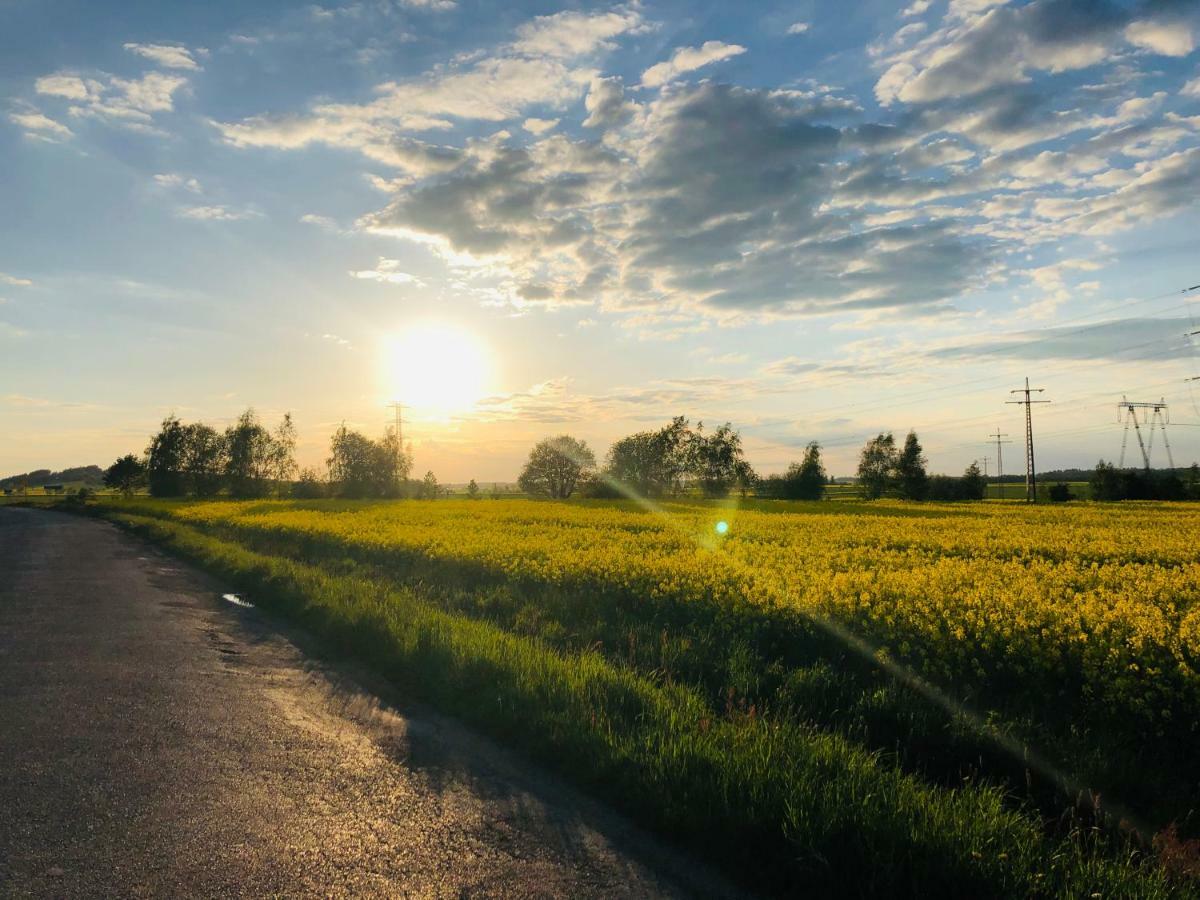 Nibylandia Dom Pod Lasem Nowa Wies Grodziska Extérieur photo