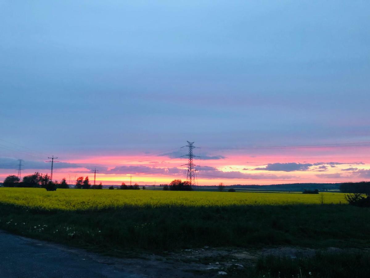 Nibylandia Dom Pod Lasem Nowa Wies Grodziska Extérieur photo