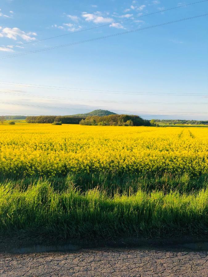 Nibylandia Dom Pod Lasem Nowa Wies Grodziska Extérieur photo