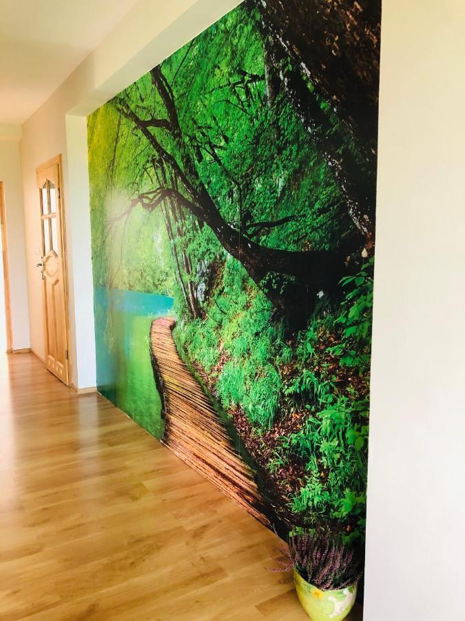 Nibylandia Dom Pod Lasem Nowa Wies Grodziska Extérieur photo
